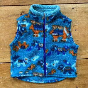 Patagonia vest
